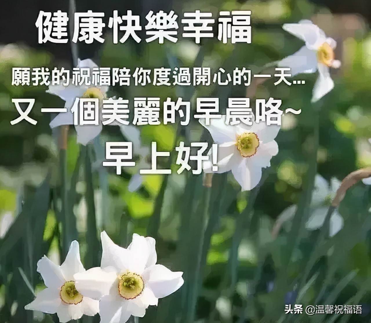 早上好祝福語優美句子動態圖片_早上好暖心問候句子配暖心表情圖片