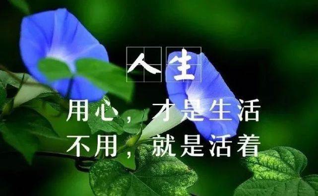 朋友圈經典的一句話心情說說_朋友圈經典說說