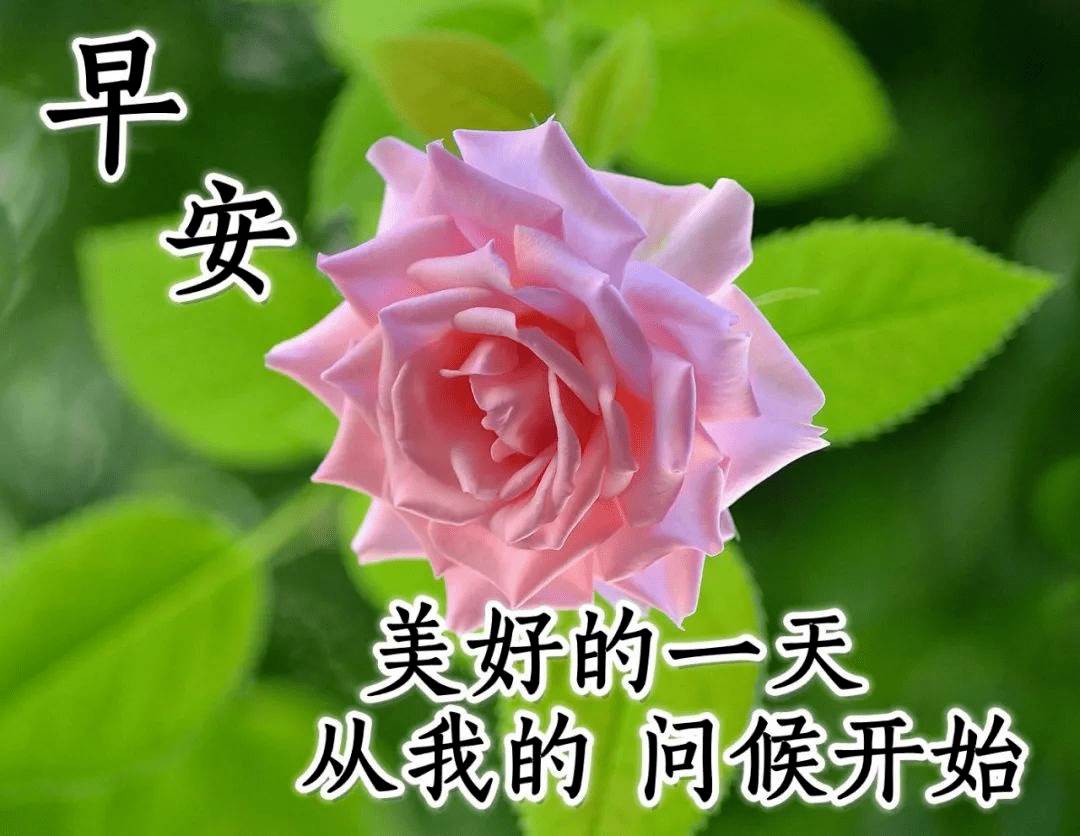 給朋友的早安信息_給好朋友的早安祝福短信