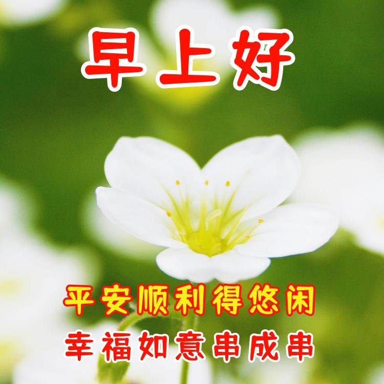 祝福平安快樂早上好的語（早上問候祝福語開心快樂的）