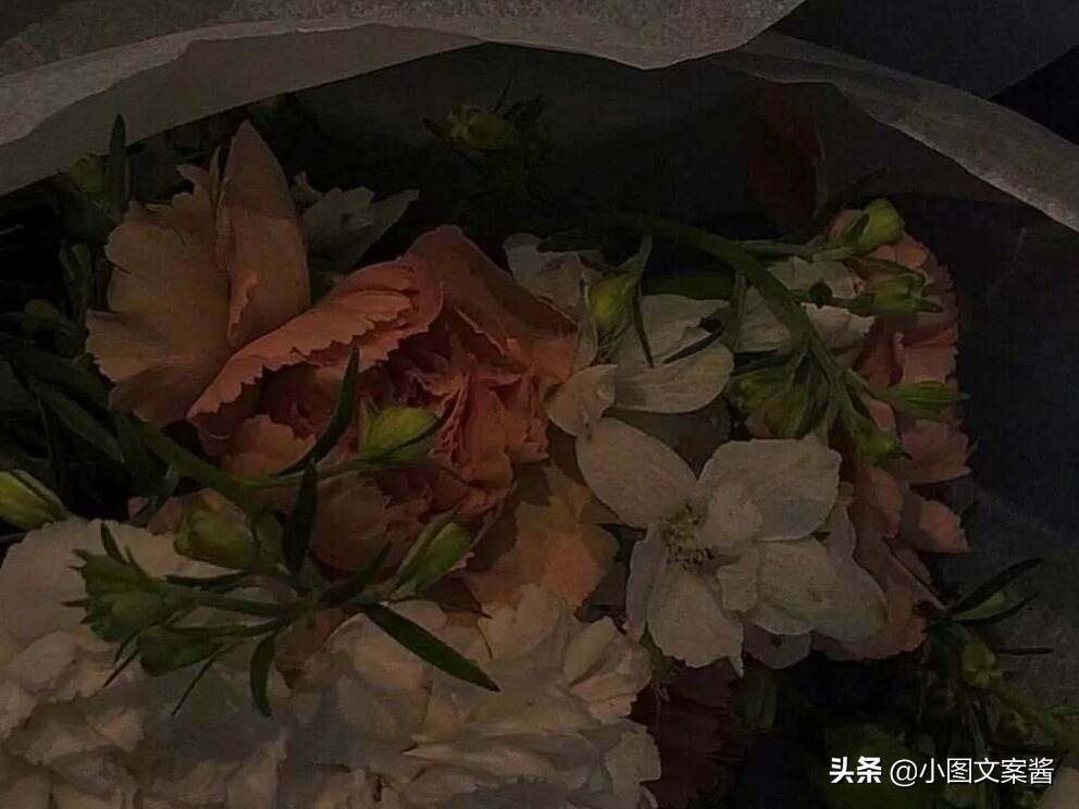 一秒破防的感情文案 讓人瞬間破防的文案