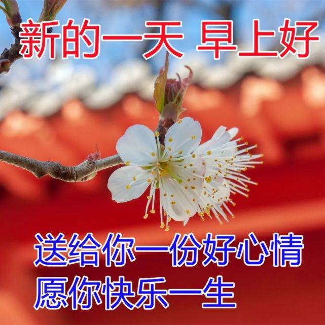 最美早上好問候語圖片帶字早安祝福動態圖大全（早安祝福語配圖片早安問候語帶圖片）