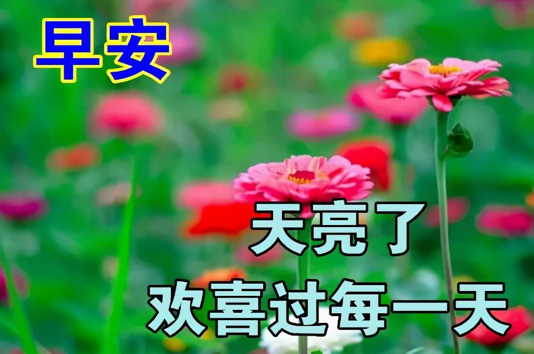 早上圖片問候表情圖片祝福語（最新的早上好動態問候祝福語圖片大全）