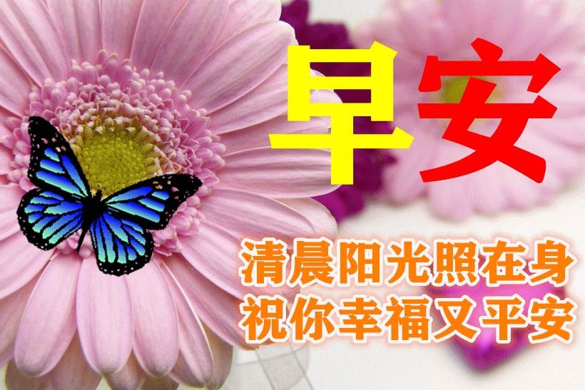 早安吉祥如意祝福語_吉祥如意早安健康快樂