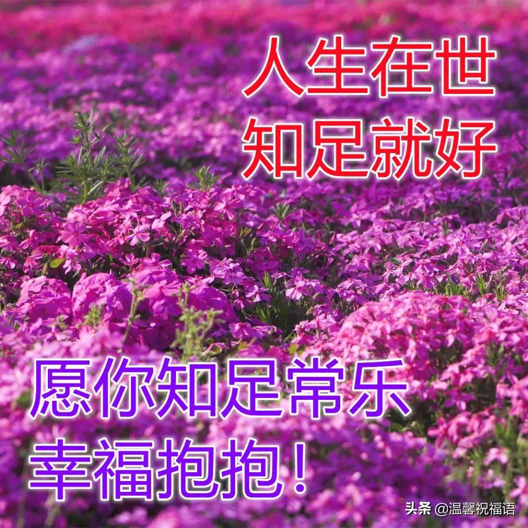 早上問候語溫馨正能量圖片 最新最美早上好問候語圖片