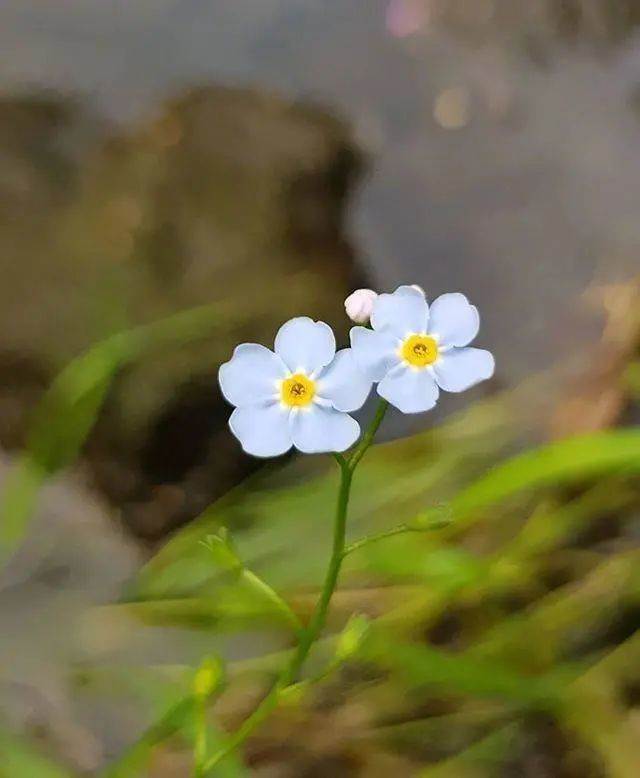 8月人生感悟_八月你好人生感悟