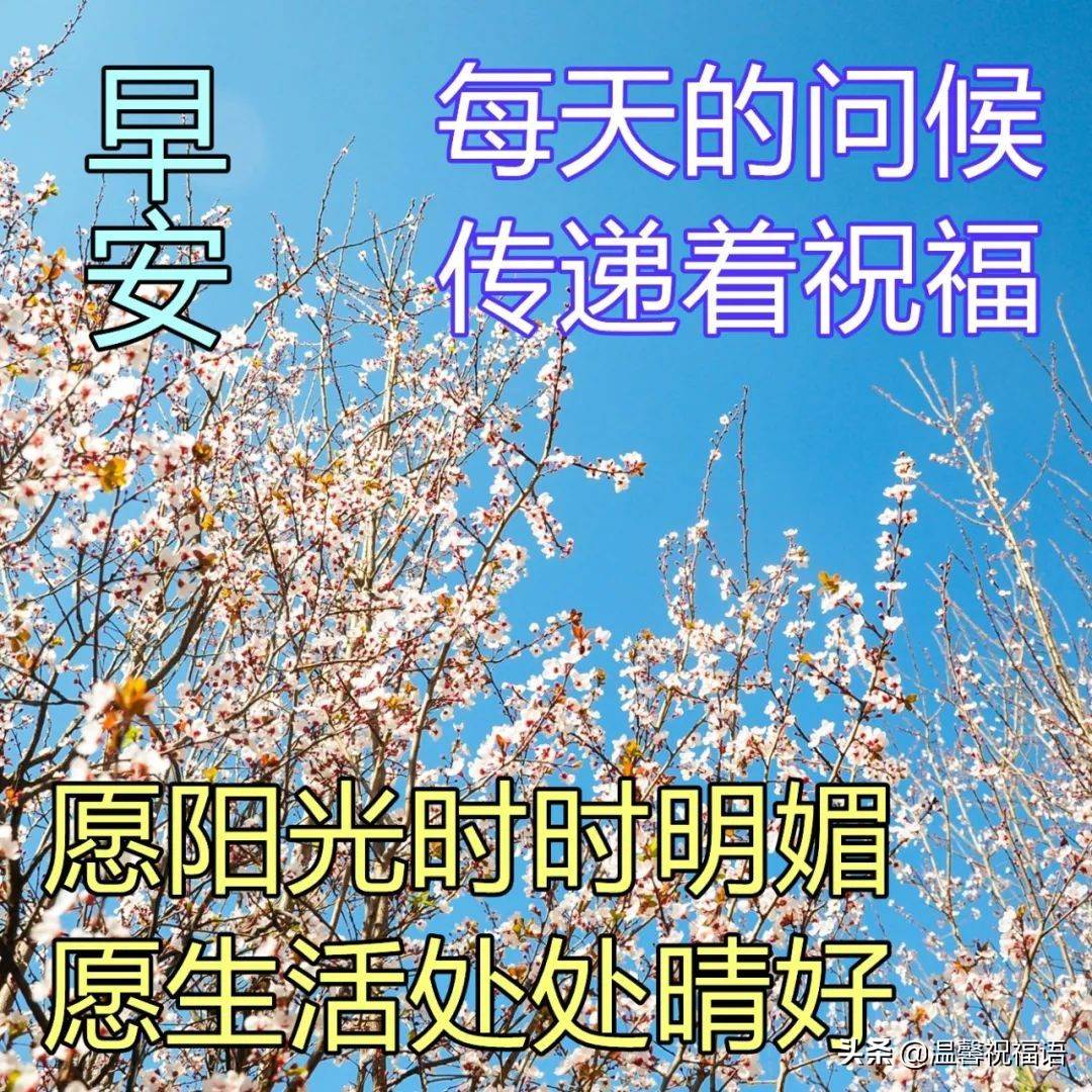 早安美麗的清晨圖片帶字 早上好圖片帶字句子早安心情語錄