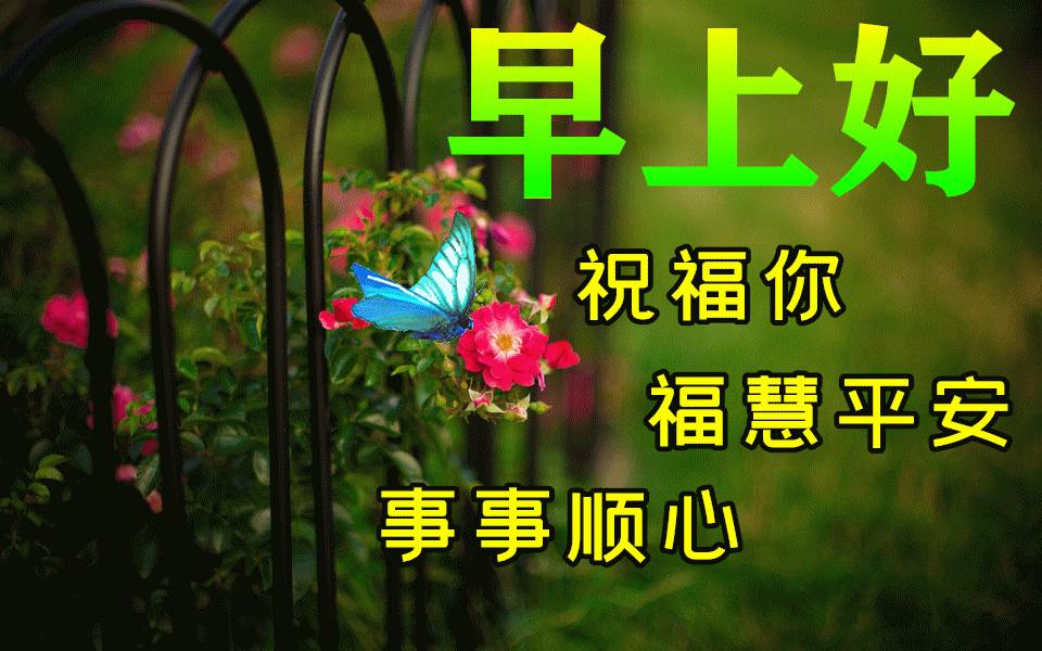 早上好平安祝福圖片_早上好平安吉祥安康幸福圖片