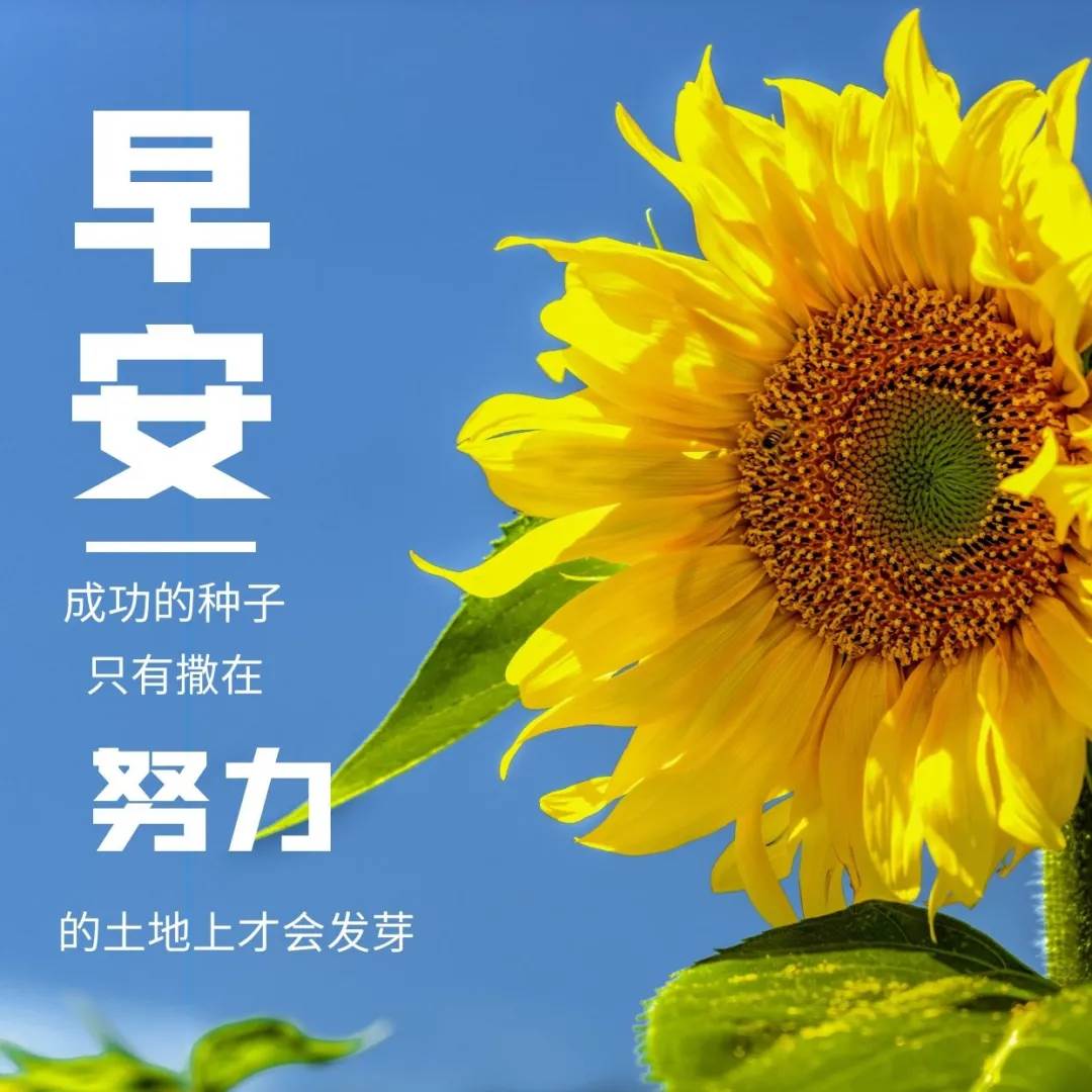 祝福朋友早安幸福快樂圖片_祝福朋友開心快樂每一天祝福語