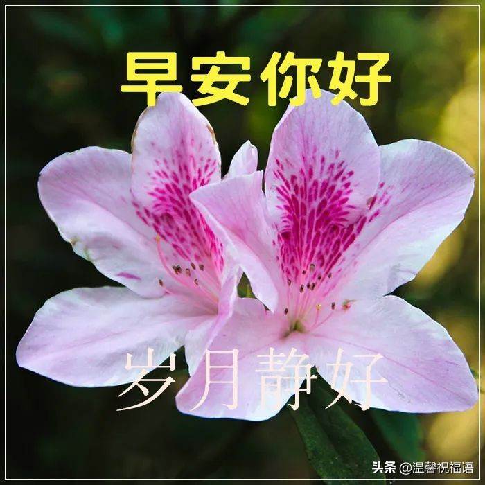 周四早上好祝福語短信（周五早上的祝福語）