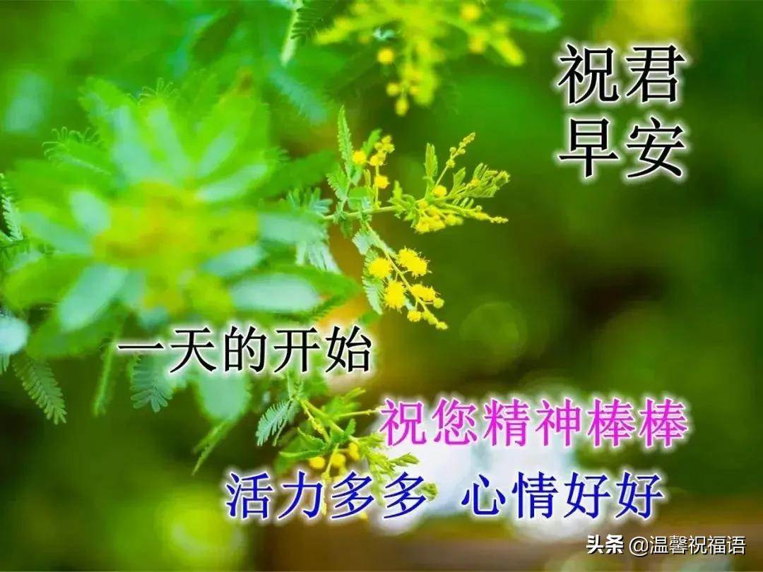 十月早安心語正能量圖片（11月早安心語圖片唯美）