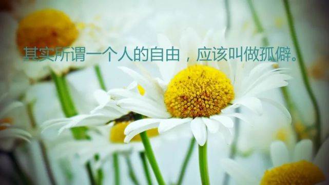 激勵自己的正能量句子經典語句_激勵自己的語句