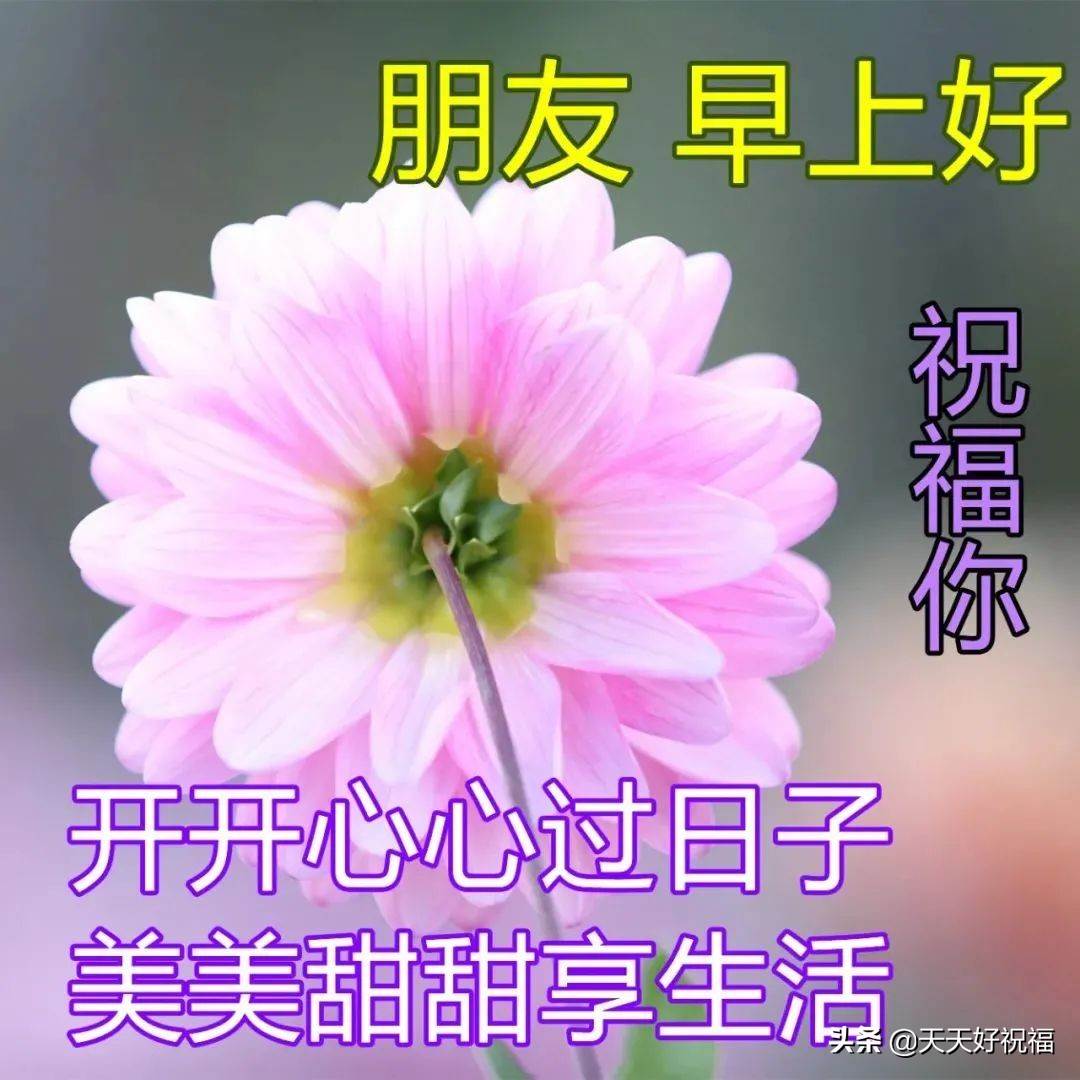 最美早安祝福圖片帶字圖片大全_最新特別漂亮早安問候祝福圖片帶字