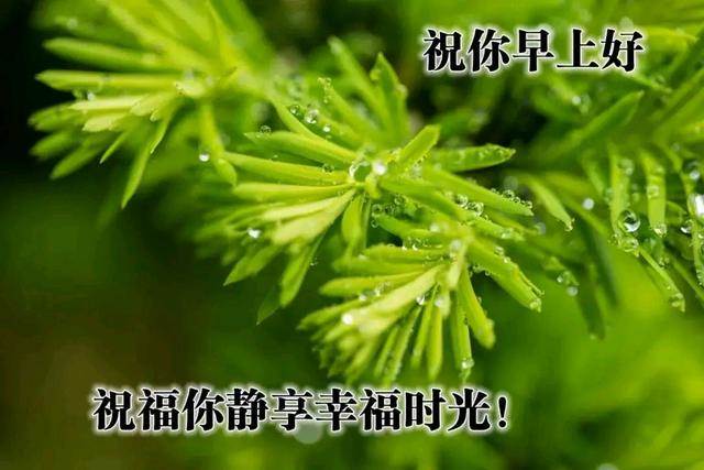 幸福感就是快樂感_幸福的心跳