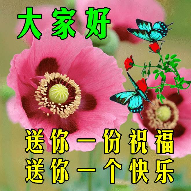 正能量的早上祝福問候圖片_早上好祝福語動態圖片問候