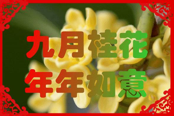 明日元旦祝福語（最新早上好朋友問候）