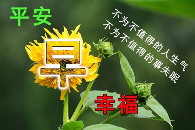 早上好問候語溫馨短句2022年（早上好問候語溫馨短句2022年）