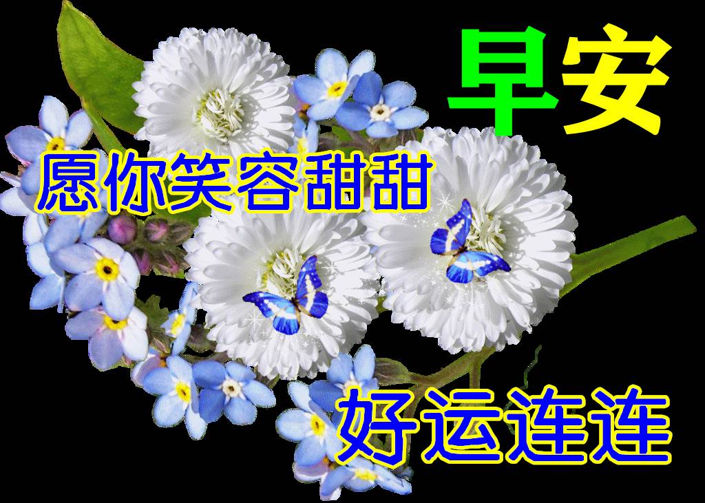 冬天里早晨最美動態圖片和問候語（11月早上好的句子圖片）