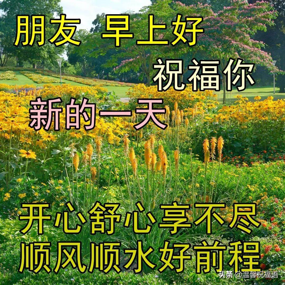 早安美麗的清晨圖片帶字 早上好圖片帶字句子早安心情語錄