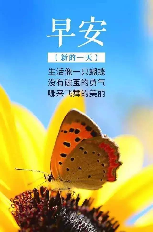 早安勵志語錄短句早安正能量經典語錄_朝霞的早安心語