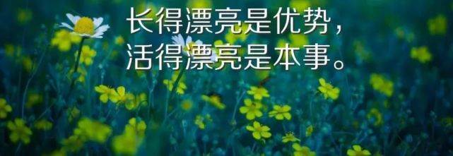 早安激勵語有正能量的句子（早安正能量勵志的句子經典語句）