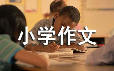 寫沙灘的小學作文（精選11篇）