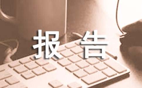 新人試用期總結報告怎么寫