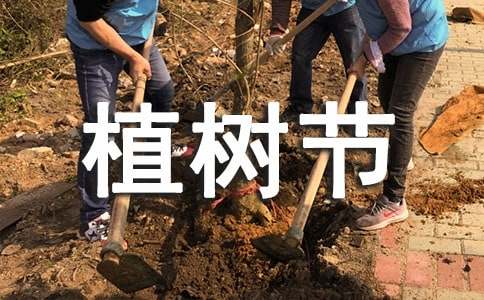 小學植樹節策劃方案（通用8篇）