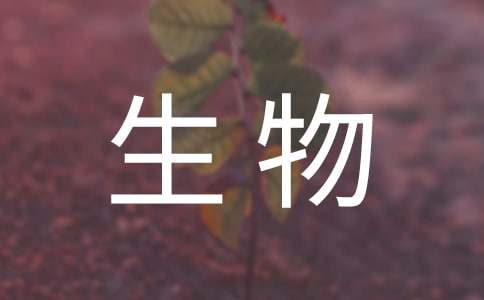 整潔簡單的生物手抄報圖片內容