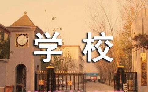 學校期末總結教導主任報告