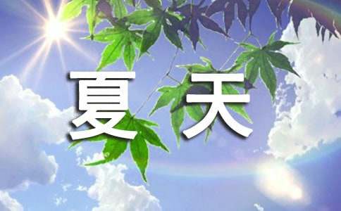 美麗的夏天作文