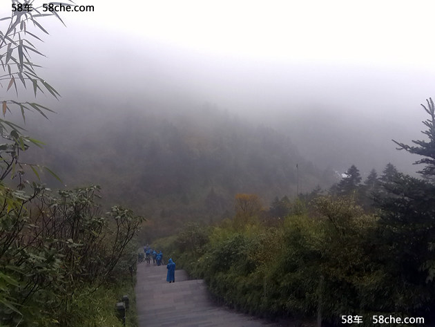 斯巴魯森林人不懼風雨 忠粉燃情神農架