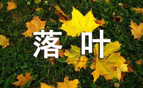 【精華】落葉的美麗作文五篇