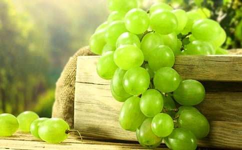 關于葡萄的作文(15篇)